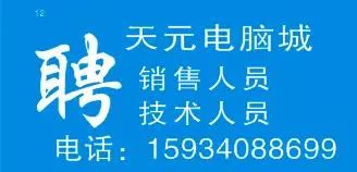 金山桥长白班招聘信息详解与探讨